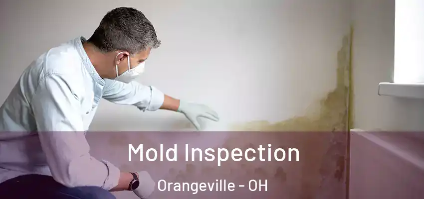 Mold Inspection Orangeville - OH