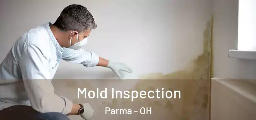 Mold Inspection Parma - OH