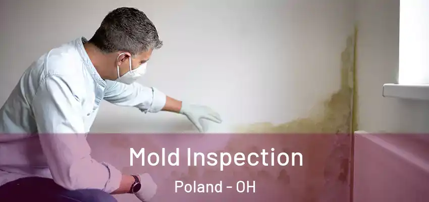 Mold Inspection Poland - OH