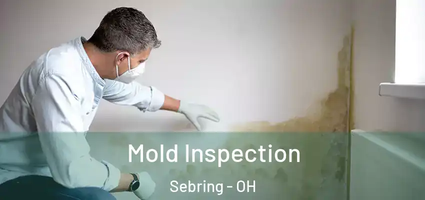  Mold Inspection Sebring - OH