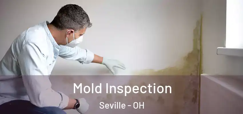  Mold Inspection Seville - OH