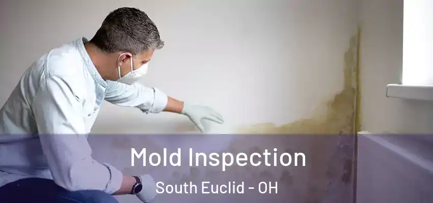  Mold Inspection South Euclid - OH