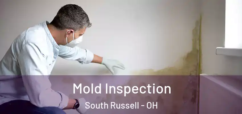 Mold Inspection South Russell - OH