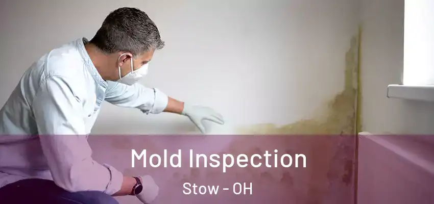 Mold Inspection Stow - OH
