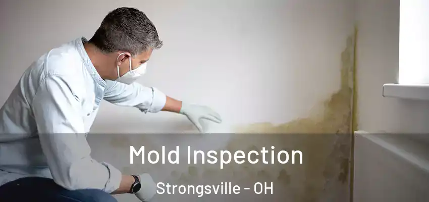 Mold Inspection Strongsville - OH