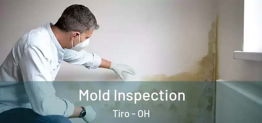  Mold Inspection Tiro - OH