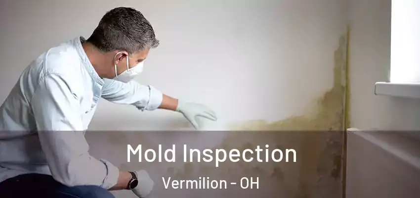 Mold Inspection Vermilion - OH