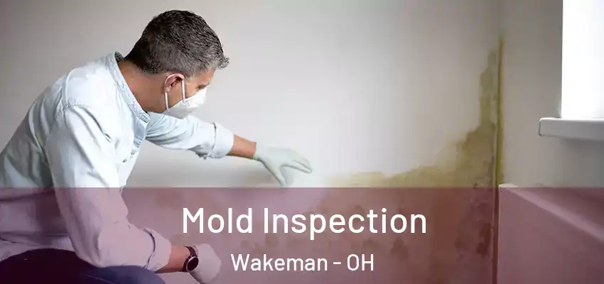  Mold Inspection Wakeman - OH
