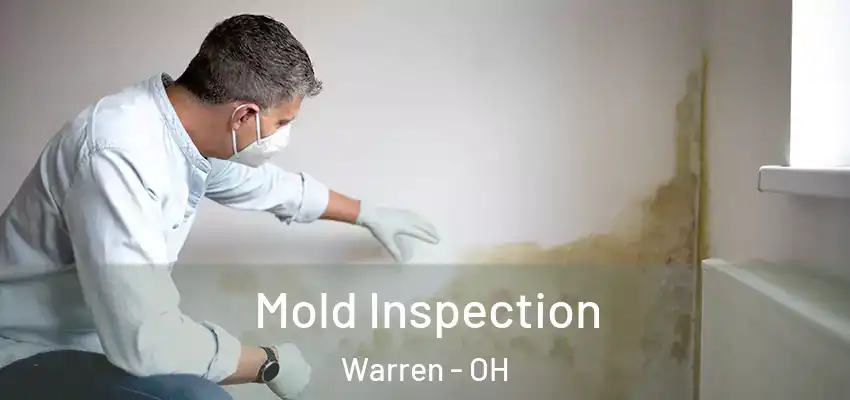  Mold Inspection Warren - OH