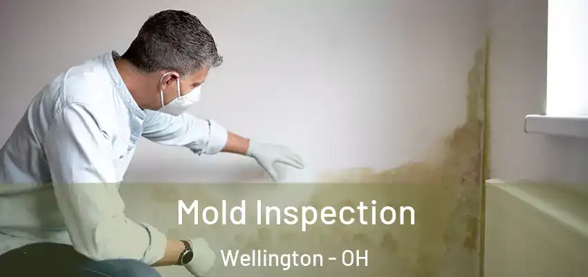 Mold Inspection Wellington - OH