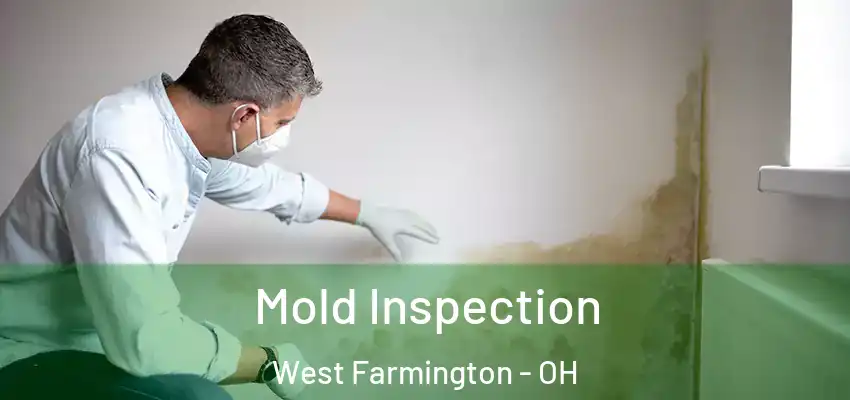  Mold Inspection West Farmington - OH