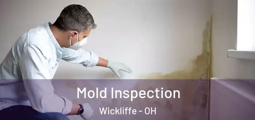  Mold Inspection Wickliffe - OH