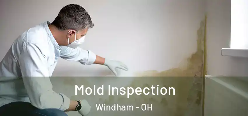  Mold Inspection Windham - OH