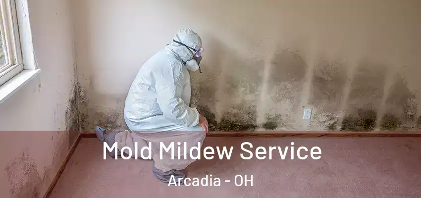 Mold Mildew Service Arcadia - OH