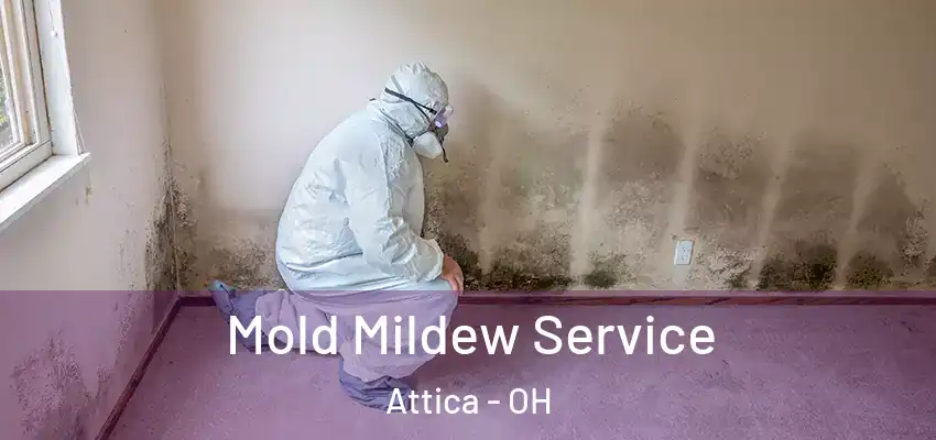 Mold Mildew Service Attica - OH