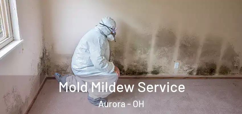 Mold Mildew Service Aurora - OH
