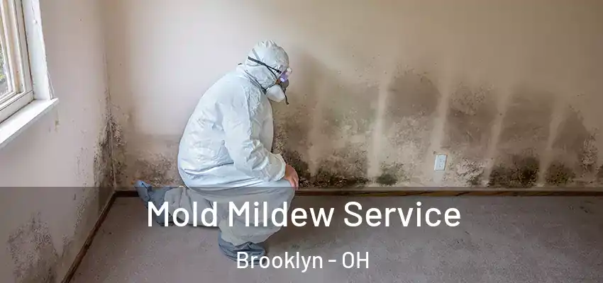 Mold Mildew Service Brooklyn - OH