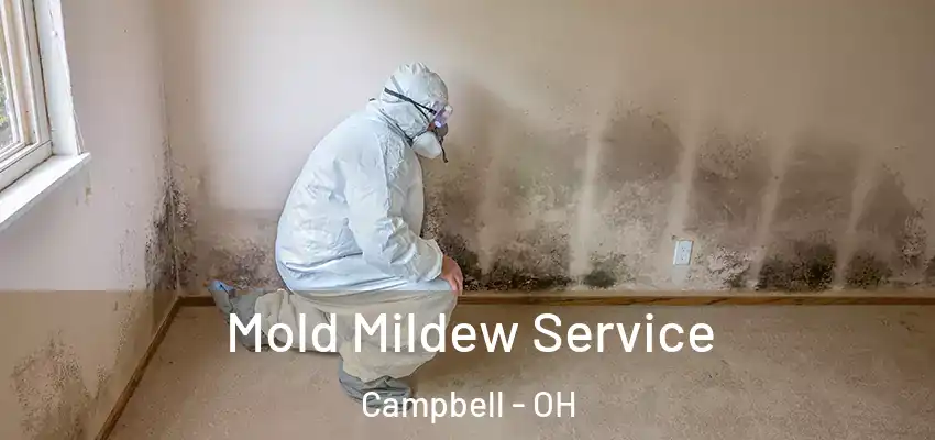 Mold Mildew Service Campbell - OH