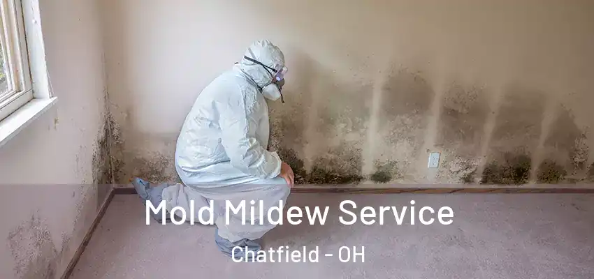 Mold Mildew Service Chatfield - OH