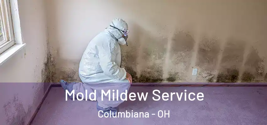  Mold Mildew Service Columbiana - OH