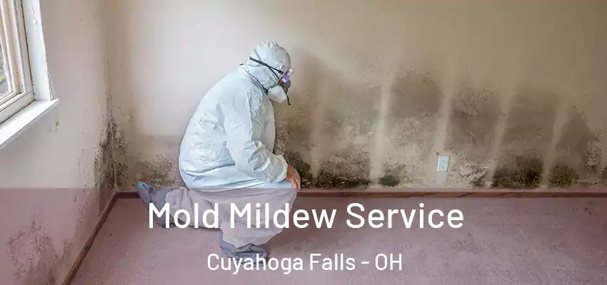 Mold Mildew Service Cuyahoga Falls - OH