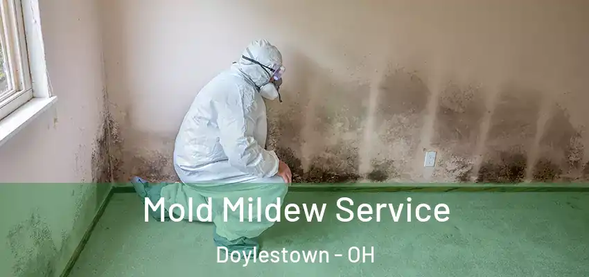 Mold Mildew Service Doylestown - OH