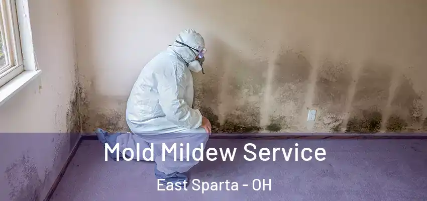 Mold Mildew Service East Sparta - OH