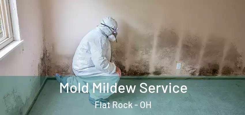 Mold Mildew Service Flat Rock - OH