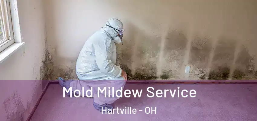 Mold Mildew Service Hartville - OH