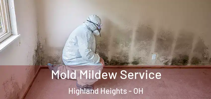  Mold Mildew Service Highland Heights - OH