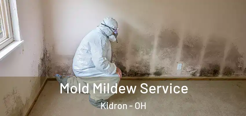 Mold Mildew Service Kidron - OH