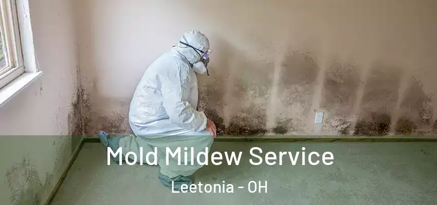 Mold Mildew Service Leetonia - OH