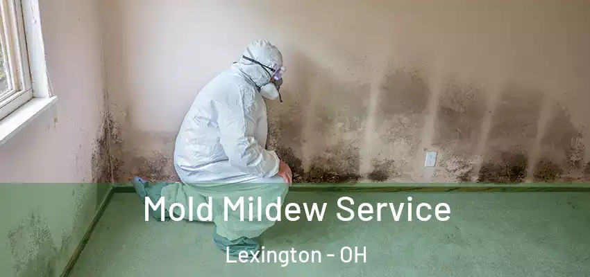 Mold Mildew Service Lexington - OH