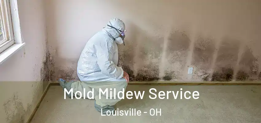 Mold Mildew Service Louisville - OH