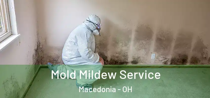 Mold Mildew Service Macedonia - OH
