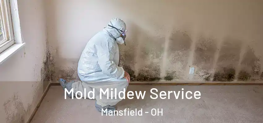 Mold Mildew Service Mansfield - OH