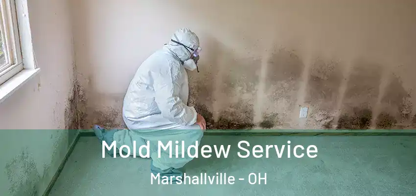 Mold Mildew Service Marshallville - OH