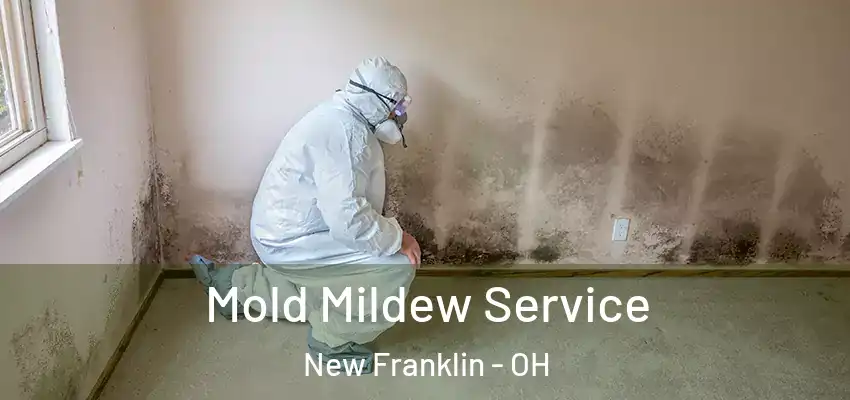 Mold Mildew Service New Franklin - OH
