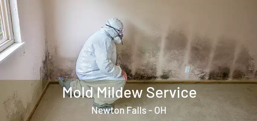 Mold Mildew Service Newton Falls - OH