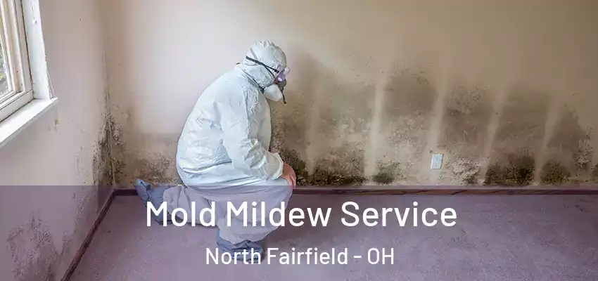 Mold Mildew Service North Fairfield - OH