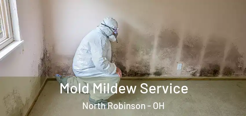 Mold Mildew Service North Robinson - OH