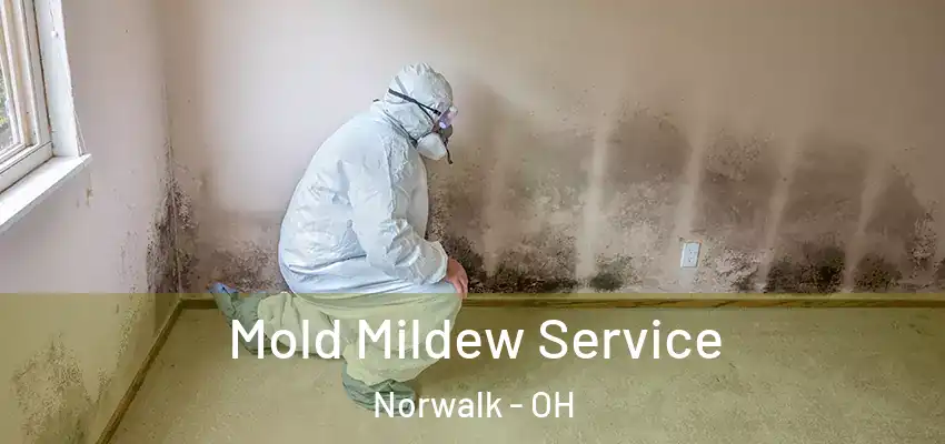  Mold Mildew Service Norwalk - OH