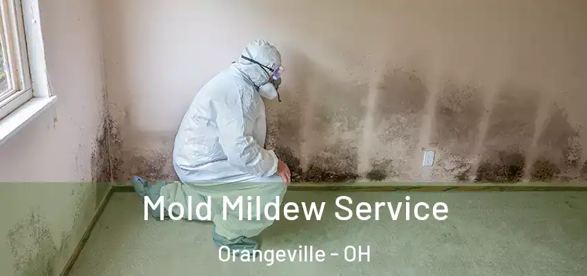 Mold Mildew Service Orangeville - OH