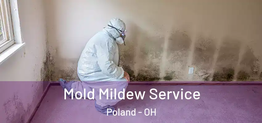 Mold Mildew Service Poland - OH