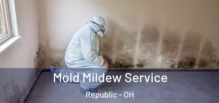 Mold Mildew Service Republic - OH