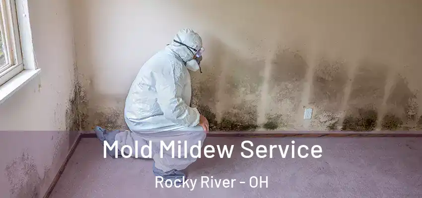 Mold Mildew Service Rocky River - OH