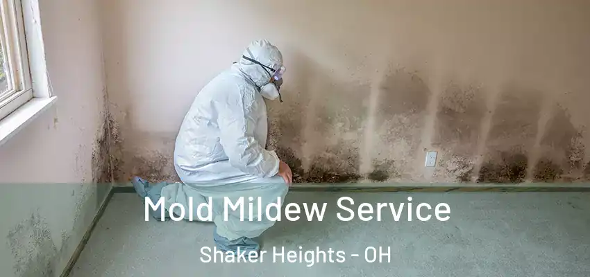 Mold Mildew Service Shaker Heights - OH