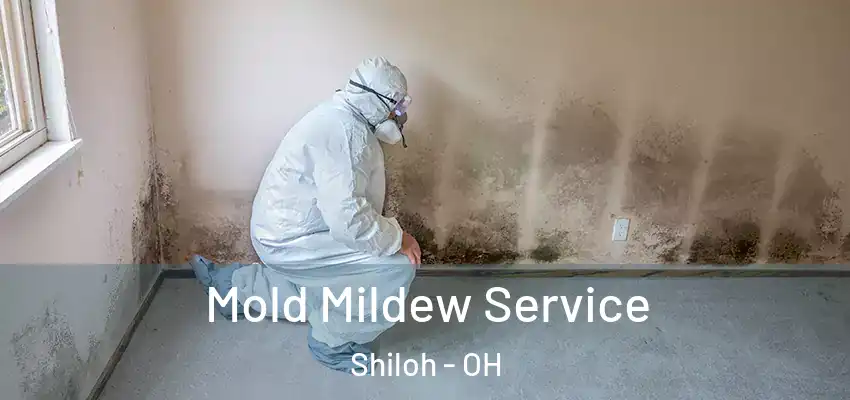  Mold Mildew Service Shiloh - OH