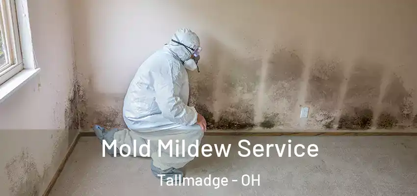  Mold Mildew Service Tallmadge - OH