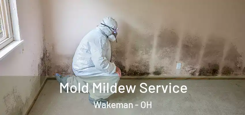 Mold Mildew Service Wakeman - OH